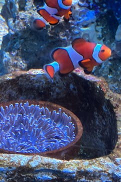 アクアワールド茨城県大洗水族館に投稿された画像（2023/5/6）