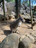伊豆シャボテン動物公園に投稿された画像（2023/5/6）