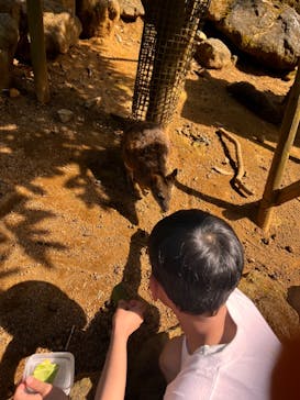 伊豆シャボテン動物公園に投稿された画像（2023/5/6）