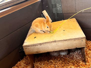 伊豆シャボテン動物公園に投稿された画像（2023/5/6）