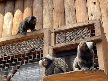 神戸どうぶつ王国に投稿された画像（2023/5/6）