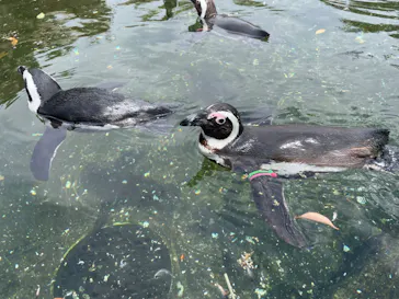 神戸どうぶつ王国に投稿された画像（2023/5/6）
