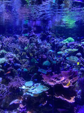 名古屋港水族館に投稿された画像（2023/5/6）