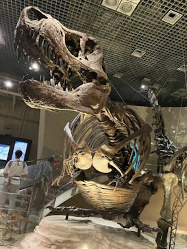 国立科学博物館に投稿された画像（2023/5/6）