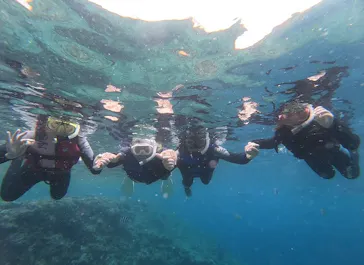 武藤潜水に投稿された画像（2023/5/6）