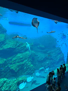仙台うみの杜水族館に投稿された画像（2023/5/6）