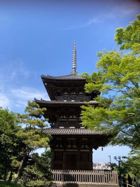 三溪園に投稿された画像（2023/5/6）