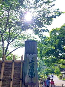 三溪園に投稿された画像（2023/5/6）