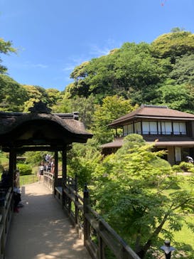 三溪園に投稿された画像（2023/5/6）