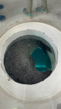 しながわ水族館に投稿された画像（2023/5/6）