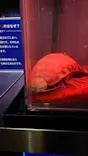 仙台うみの杜水族館に投稿された画像（2023/5/6）