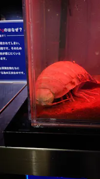 仙台うみの杜水族館に投稿された画像（2023/5/6）