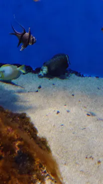 仙台うみの杜水族館に投稿された画像（2023/5/6）