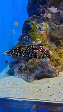 仙台うみの杜水族館に投稿された画像（2023/5/6）