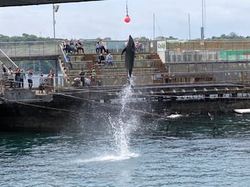 伊豆・三津シーパラダイスに投稿された画像（2023/5/6）
