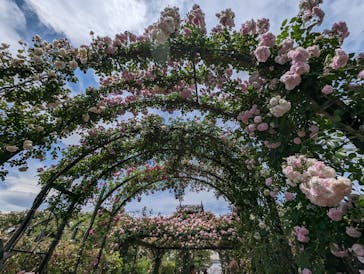 横浜イングリッシュガーデンに投稿された画像（2023/5/6）