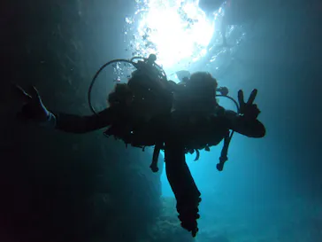 武藤潜水に投稿された画像（2023/5/6）