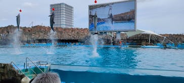 名古屋港水族館に投稿された画像（2023/5/6）