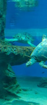 名古屋港水族館に投稿された画像（2023/5/6）