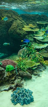 名古屋港水族館に投稿された画像（2023/5/6）