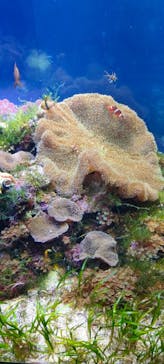 名古屋港水族館に投稿された画像（2023/5/6）