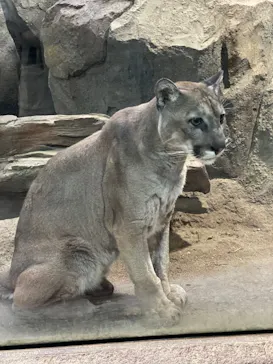 神戸どうぶつ王国に投稿された画像（2023/5/6）