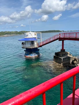 串本海中公園水族館に投稿された画像（2023/5/6）