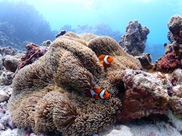 ちゃこたびに投稿された画像（2023/5/6）