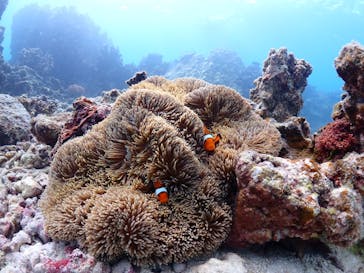 ちゃこたびに投稿された画像（2023/5/6）