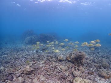 ちゃこたびに投稿された画像（2023/5/6）