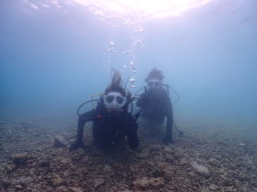 ちゃこたびに投稿された画像（2023/5/6）