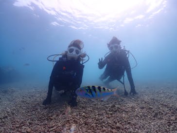 ちゃこたびに投稿された画像（2023/5/6）