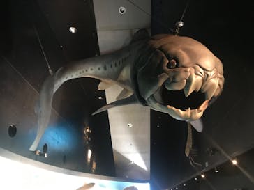 環境水族館アクアマリンふくしまに投稿された画像（2023/5/6）