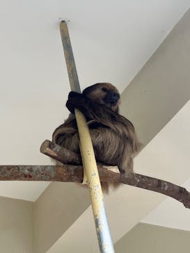 ネオパークオキナワに投稿された画像（2023/5/6）