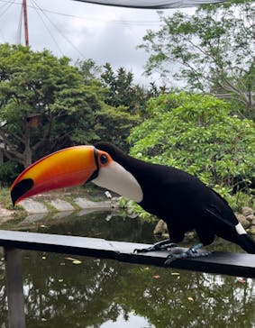 ネオパークオキナワに投稿された画像（2023/5/6）