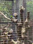よこはま動物園ズーラシアに投稿された画像（2023/5/6）