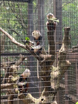 よこはま動物園ズーラシアに投稿された画像（2023/5/6）