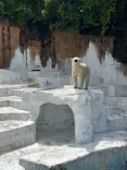 天王寺動物園に投稿された画像（2023/5/6）