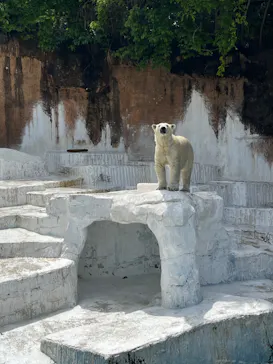 天王寺動物園に投稿された画像（2023/5/6）
