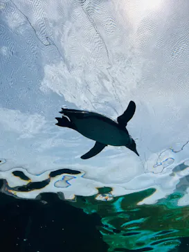 天王寺動物園に投稿された画像（2023/5/6）