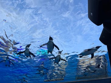 サンシャイン60展望台に投稿された画像（2023/5/6）