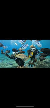 DIVING-SHOP SUNSに投稿された画像（2023/5/6）