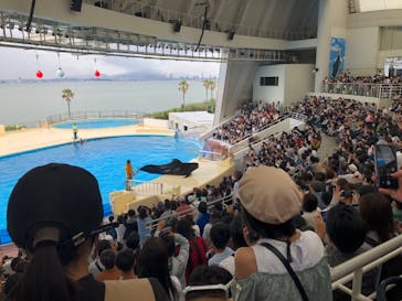 マリンワールド海の中道に投稿された画像（2023/5/6）