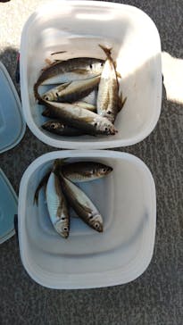 環境水族館アクアマリンふくしまに投稿された画像（2023/5/6）