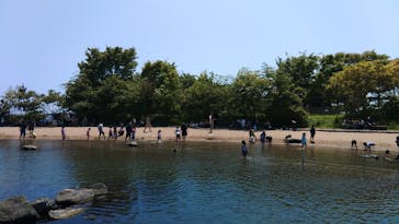 環境水族館アクアマリンふくしまに投稿された画像（2023/5/6）