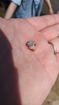 環境水族館アクアマリンふくしまに投稿された画像（2023/5/6）