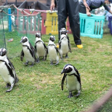 名古屋港水族館に投稿された画像（2023/5/6）