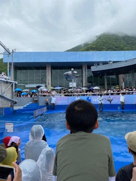 大分マリーンパレス水族館 「うみたまご」に投稿された画像（2023/5/6）