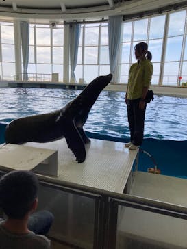 アクアワールド茨城県大洗水族館に投稿された画像（2023/5/6）