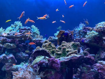 サンシャイン水族館に投稿された画像（2023/5/6）